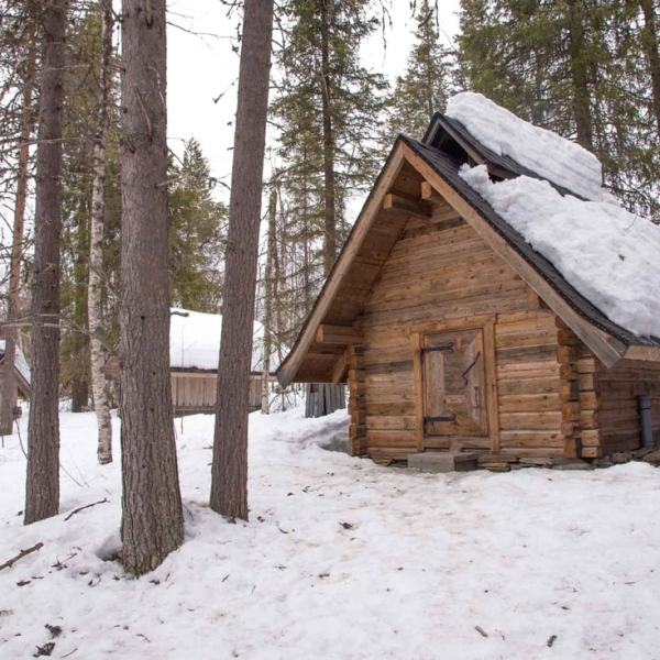 Sauvulla makkaraa paistamassa