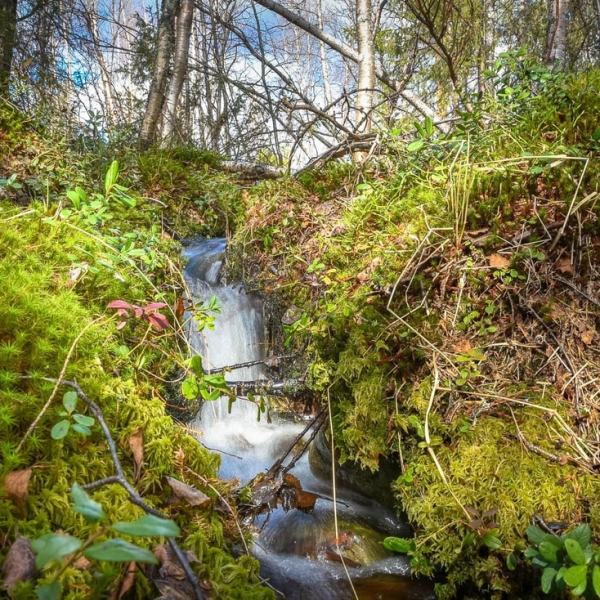 Sauvu ja Syväjärvi