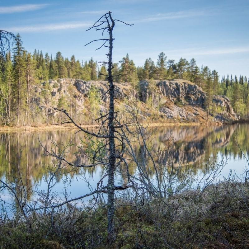 Liian myöhään Huuhkajajärvillä