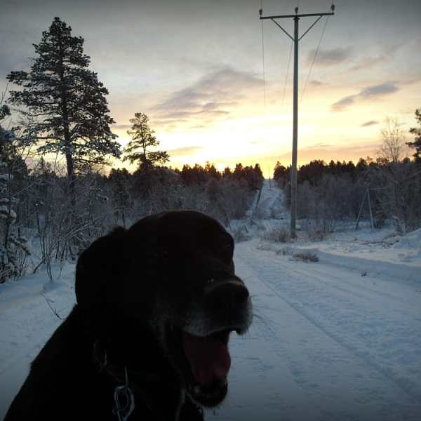 Lenkillä Ladyn kanssa