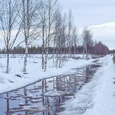 Kännykkäkuvia Lapin keväästä