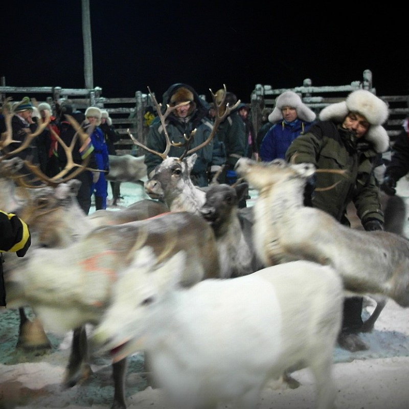 Kevään erotukset alkoivat