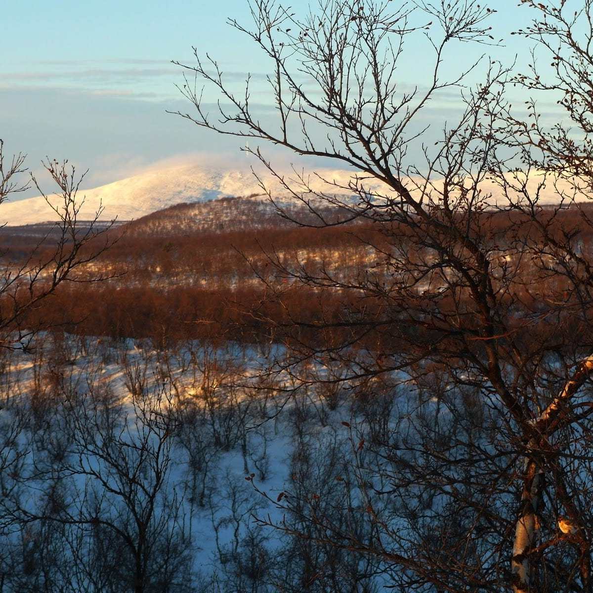 Ulkoilua ja saamen&nbsp;opiskelua