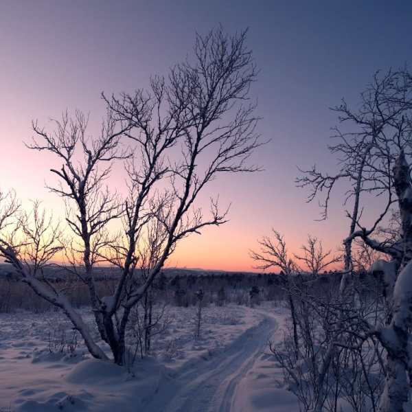 Lenkillä kohti Ailigasta