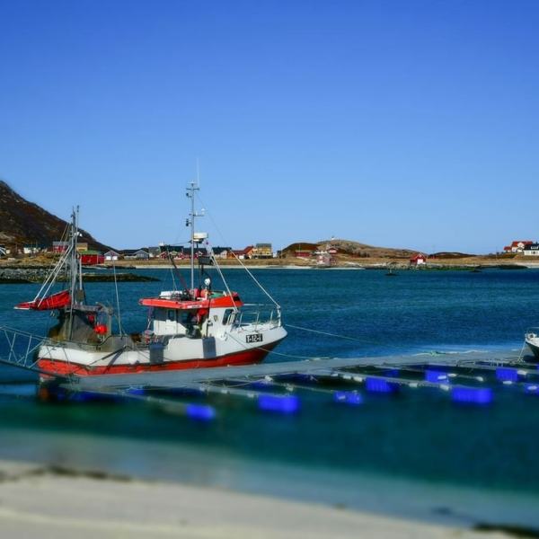 Häämatkan 3. päivä, tunnelmapaloja ja kameran&nbsp;testailua