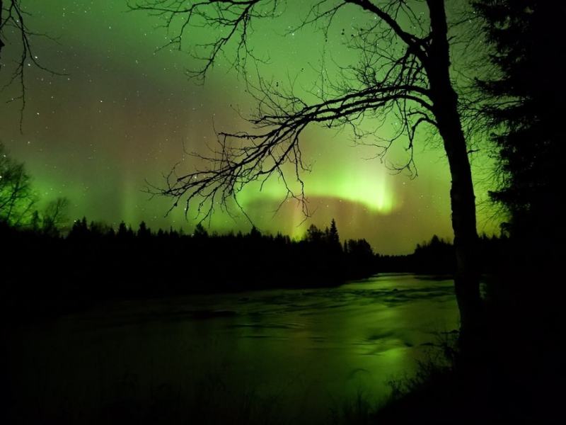 Viikonloppu erämökillä