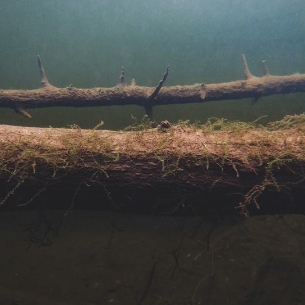 Kuvailua Kultalähteessä