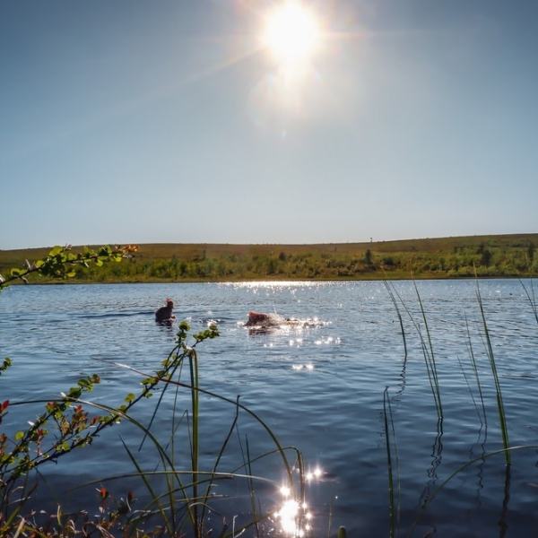 Hitaita päiviä, päivä 7 (ja ensimmäinen yö&nbsp;riippumatossa)