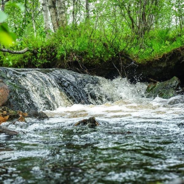 Sunnuntaiajelulla pohjoisessa