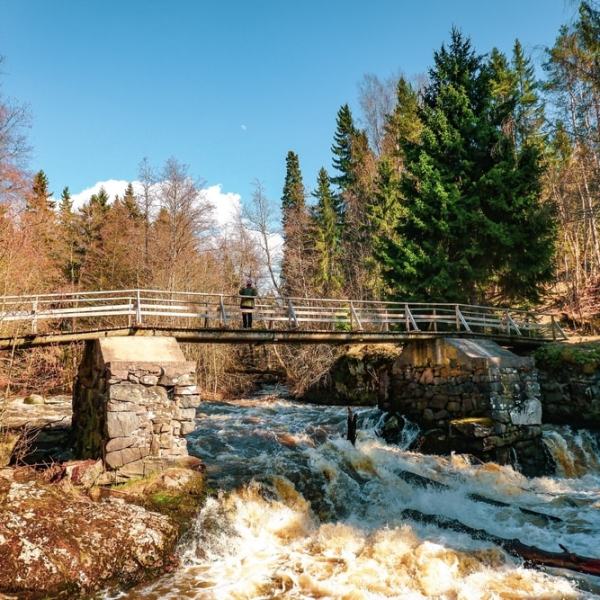 Kevätretki Latokartanonkoskelle