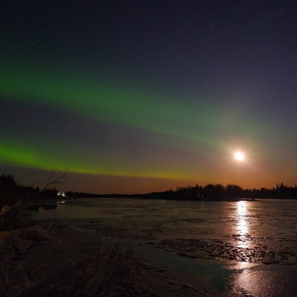 Puolivuotinen Ounasjoella