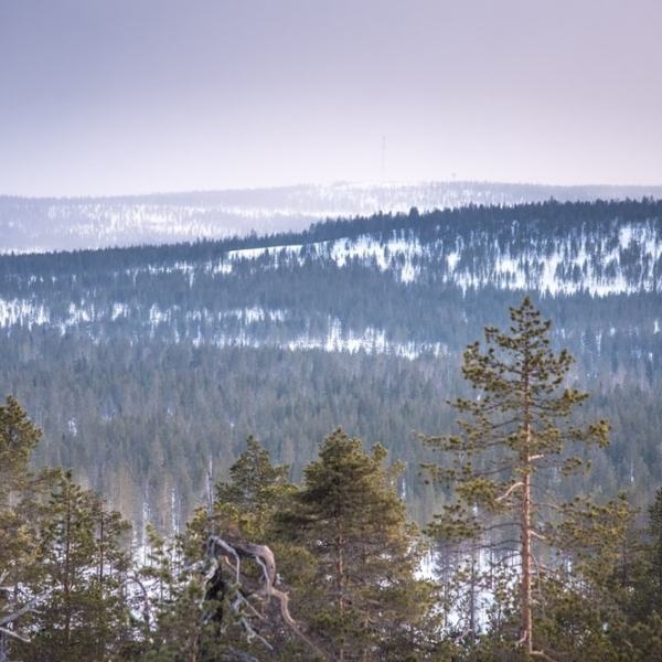 ”Kevät jo keijaili&nbsp;ilmassa”