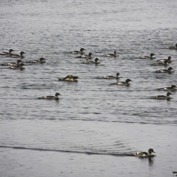 Lokakuun tunnelmia etelästä ja&nbsp;pohjoisesta