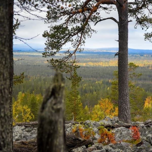 15 ruskaretkikuvaa Kaarestunturilta