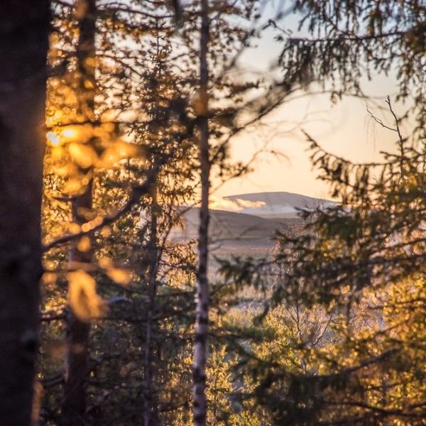 Iltakävely läheisellä vaaralla