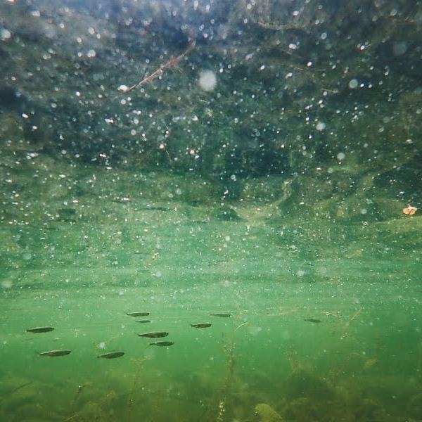 Lomapäiviä Kuopiossa