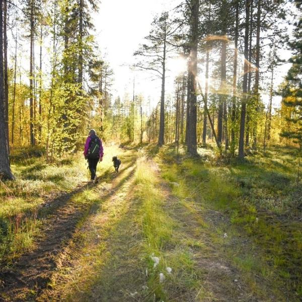 Muistoja syyslomalta