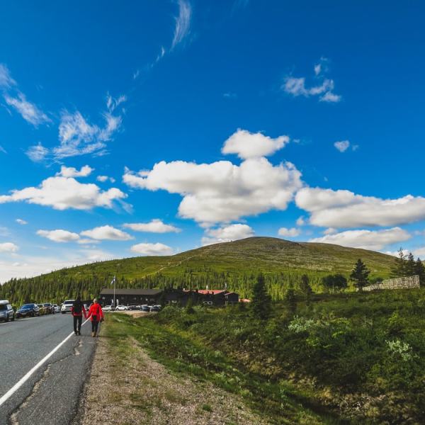 Juhannus & kävely&nbsp;Palkaskerolla