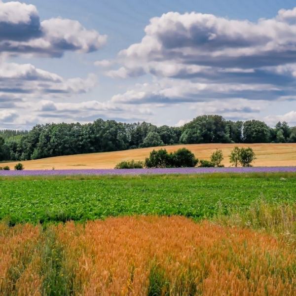 Paras kesä 20&nbsp;kuvassa