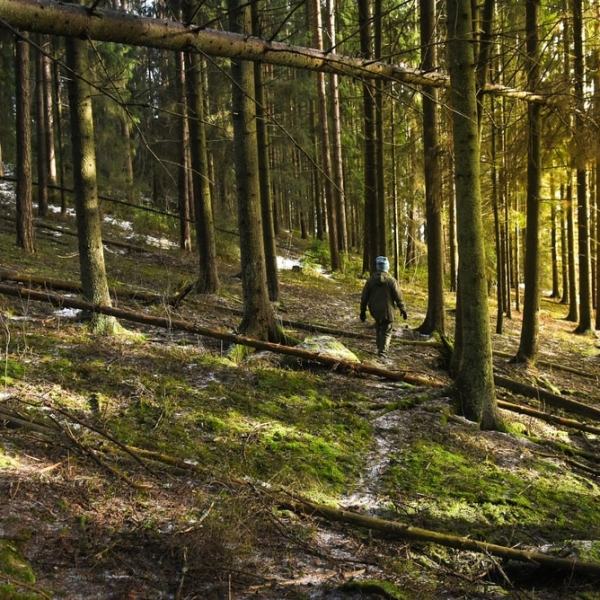 Kevättä vastassa kotikonnuilla