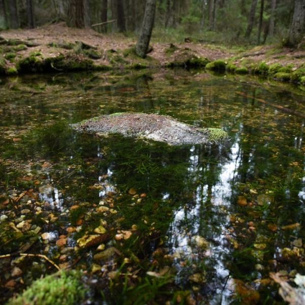 Kotiseututuokio, osa 3: Salaisten&nbsp;Uhrilähde