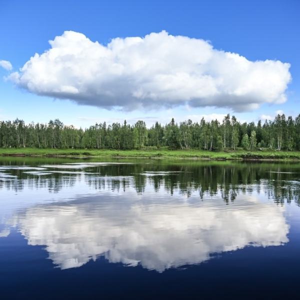 Irtiotto Savukoskelle