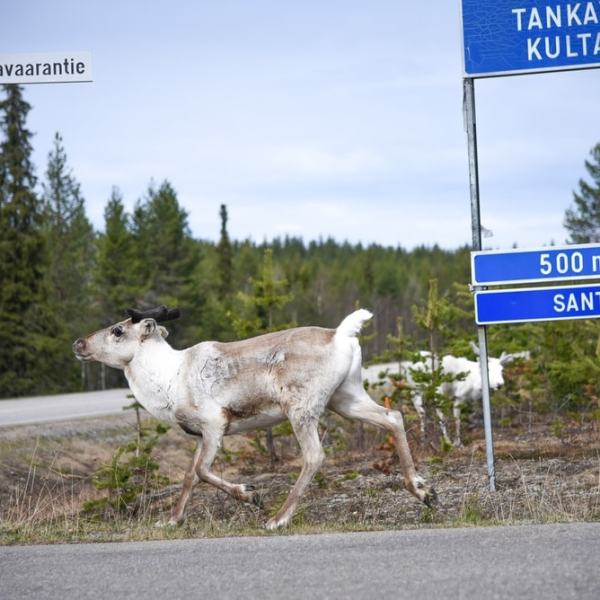 Roadtrip Sompion Lappiin