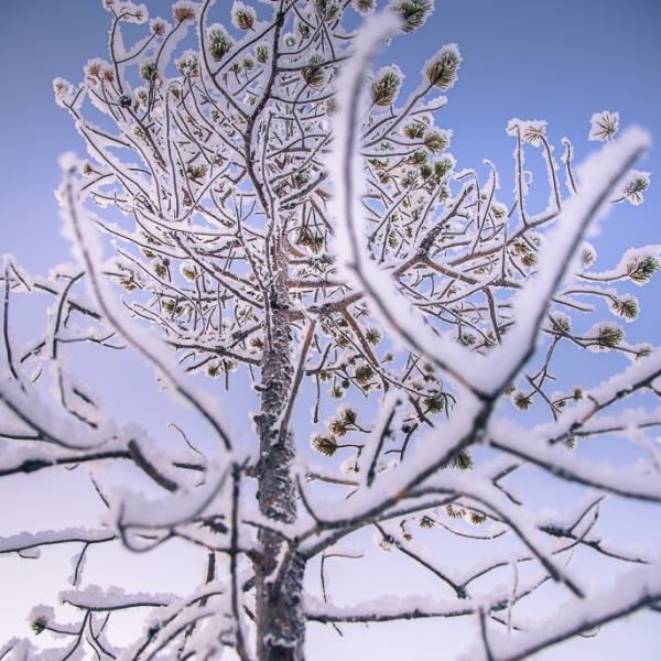 Aurinko näkyy vielä