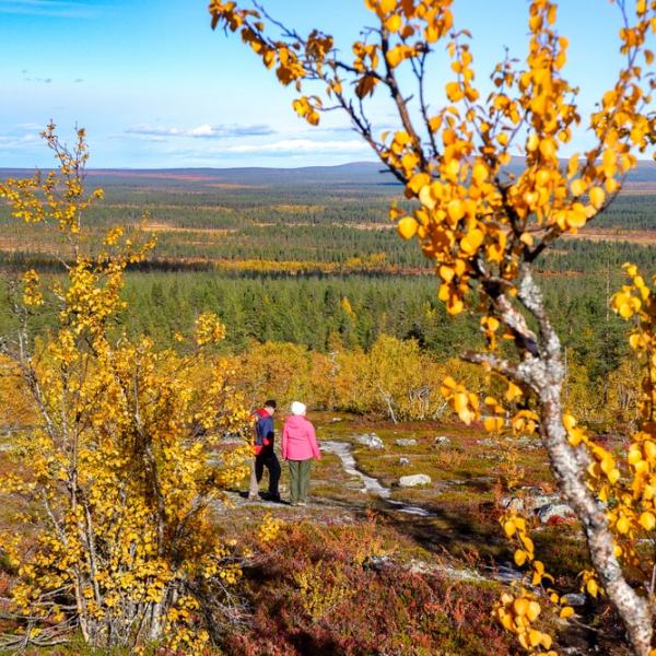 Lapin vuodenkierron vaiheet ja kuinka nauttia (tai selvitä)&nbsp;niistä