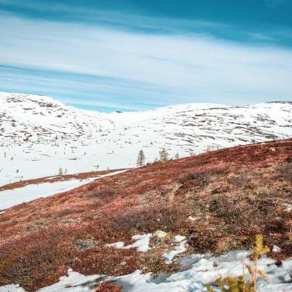 Paluu rakkaalle Palkaskerolle