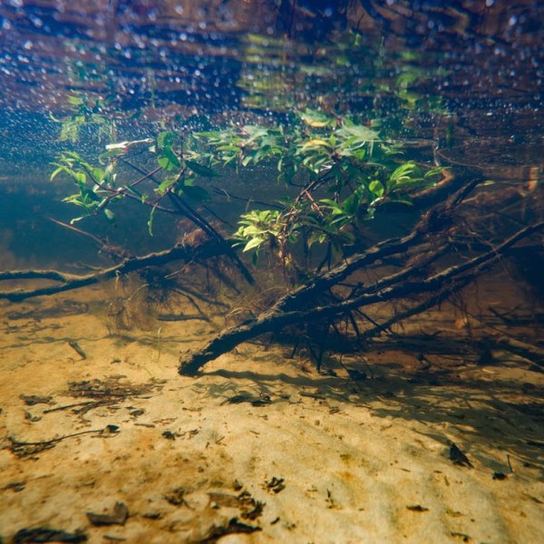 Pikakurkistuksia: Iso-Valkee, Pyhäjärvi ja&nbsp;Ounasjoki