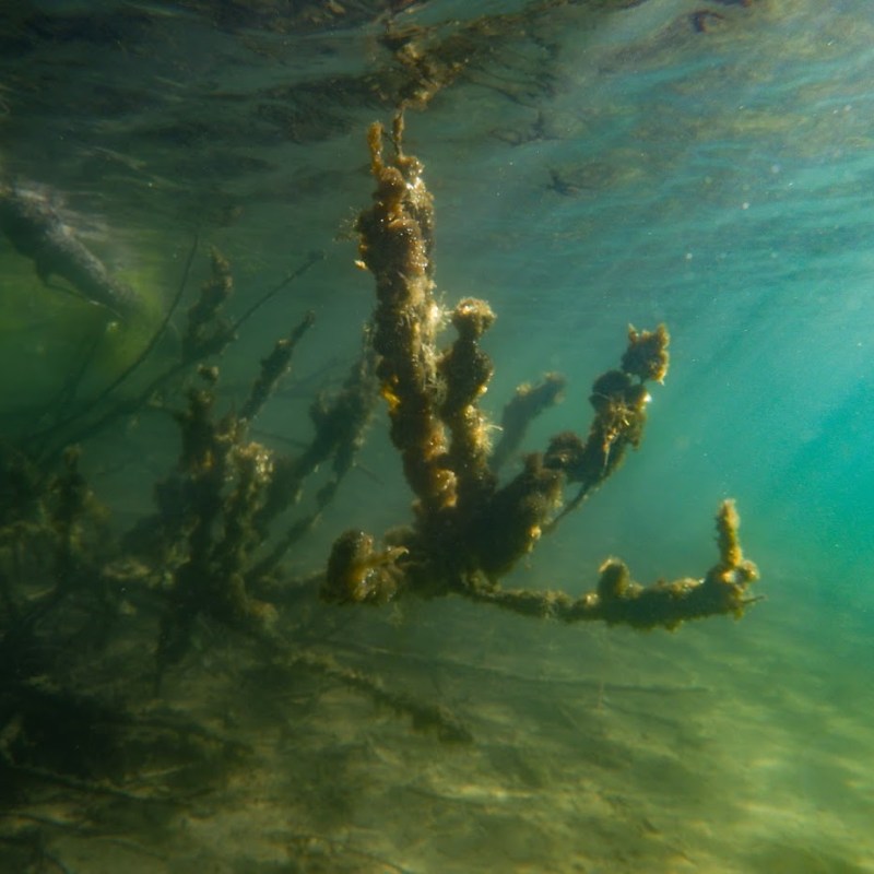 Raasikaltiot, Enontekiö