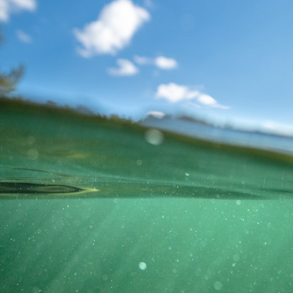 Tuulinen päivä Hopialammilla