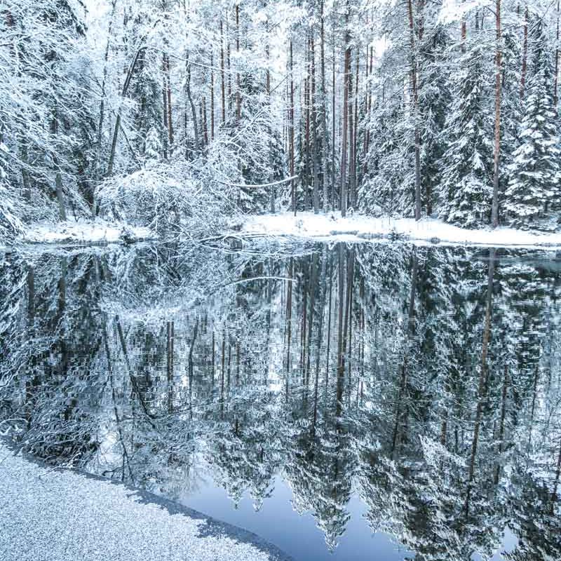 Talven heijasuksia Hyyppäränharjulla &&nbsp;Kultalähteellä