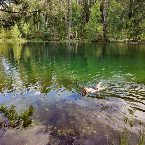 Ensimmäinen kunnon snorklausretki Someron&nbsp;Iso-Valkeelle