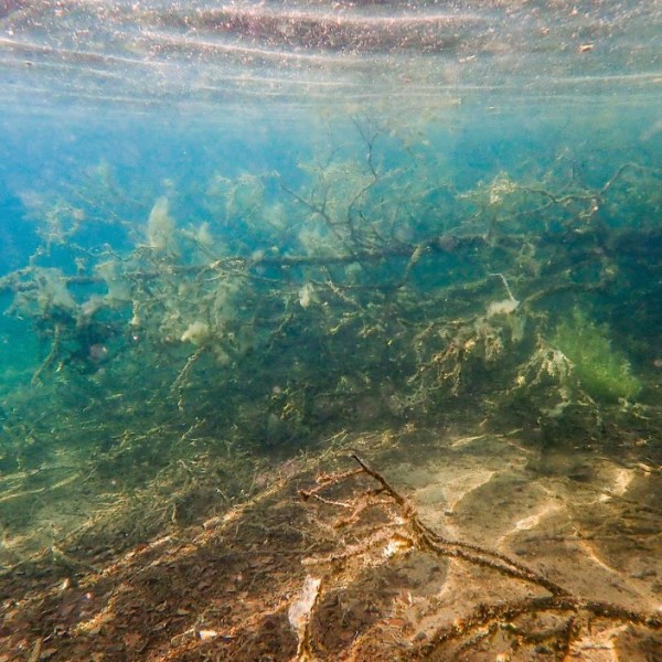 Hietajärvi, Pallas-Yllästunturin kansallispuisto&nbsp;(2019)