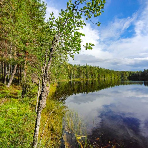 Tutkimusretki äidin lapsuuden metsään &&nbsp;Lemikjärvelle
