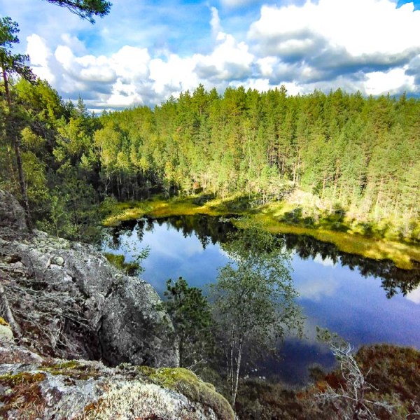 Iltaretkellä järviylängöllä Kurkelanjärven&nbsp;seudulla