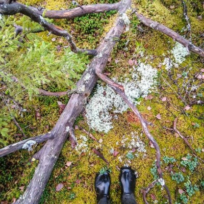 Jylhänne Luokajärven takana